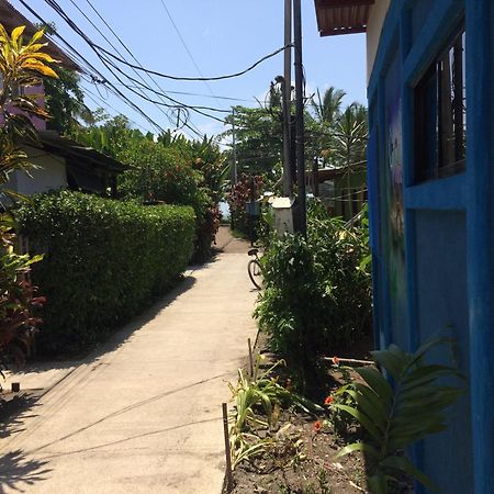 Green Macaw Hostel ตอร์ตูเกโร ภายนอก รูปภาพ