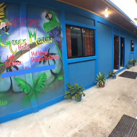 Green Macaw Hostel ตอร์ตูเกโร ภายนอก รูปภาพ