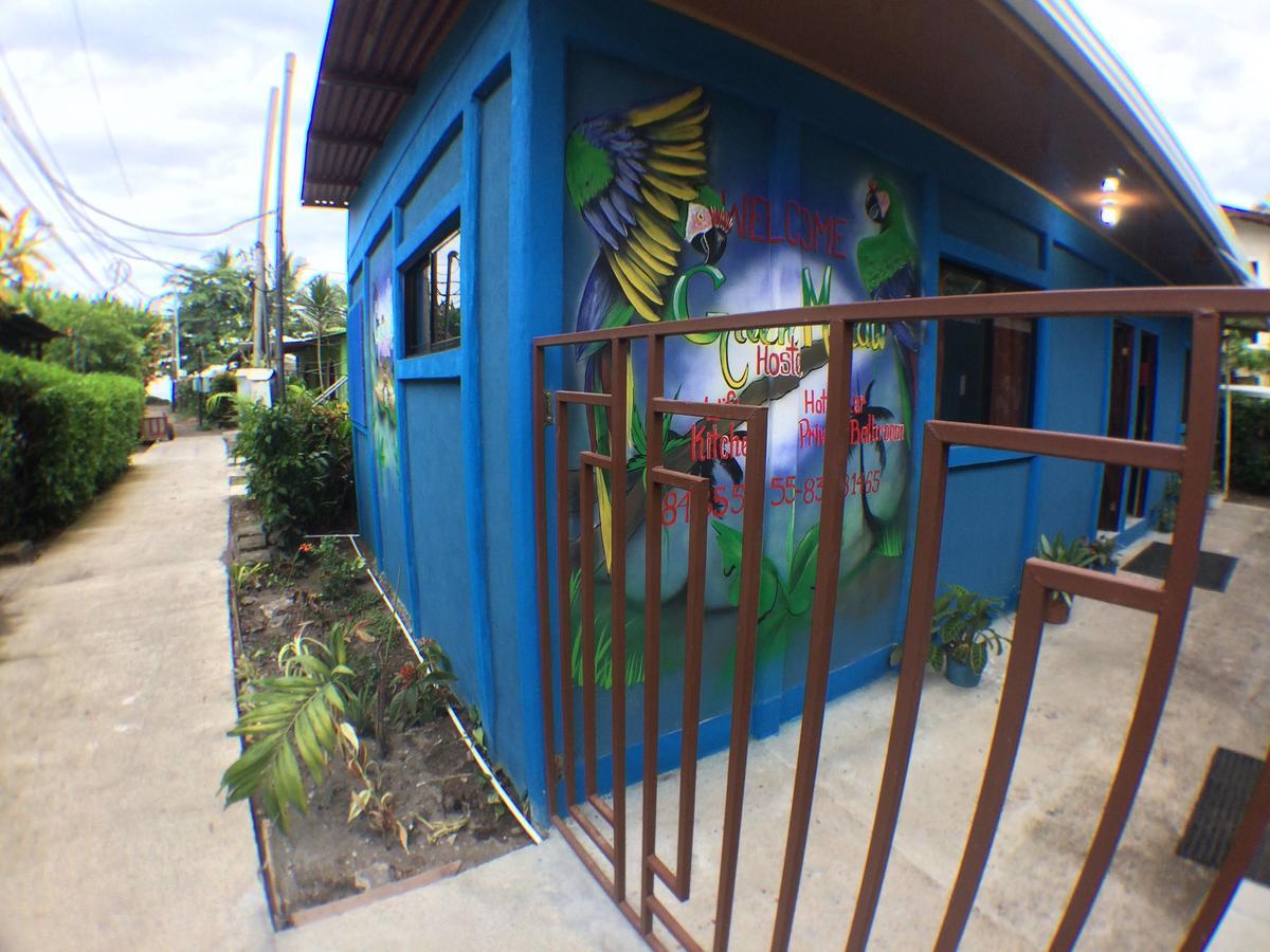 Green Macaw Hostel ตอร์ตูเกโร ภายนอก รูปภาพ