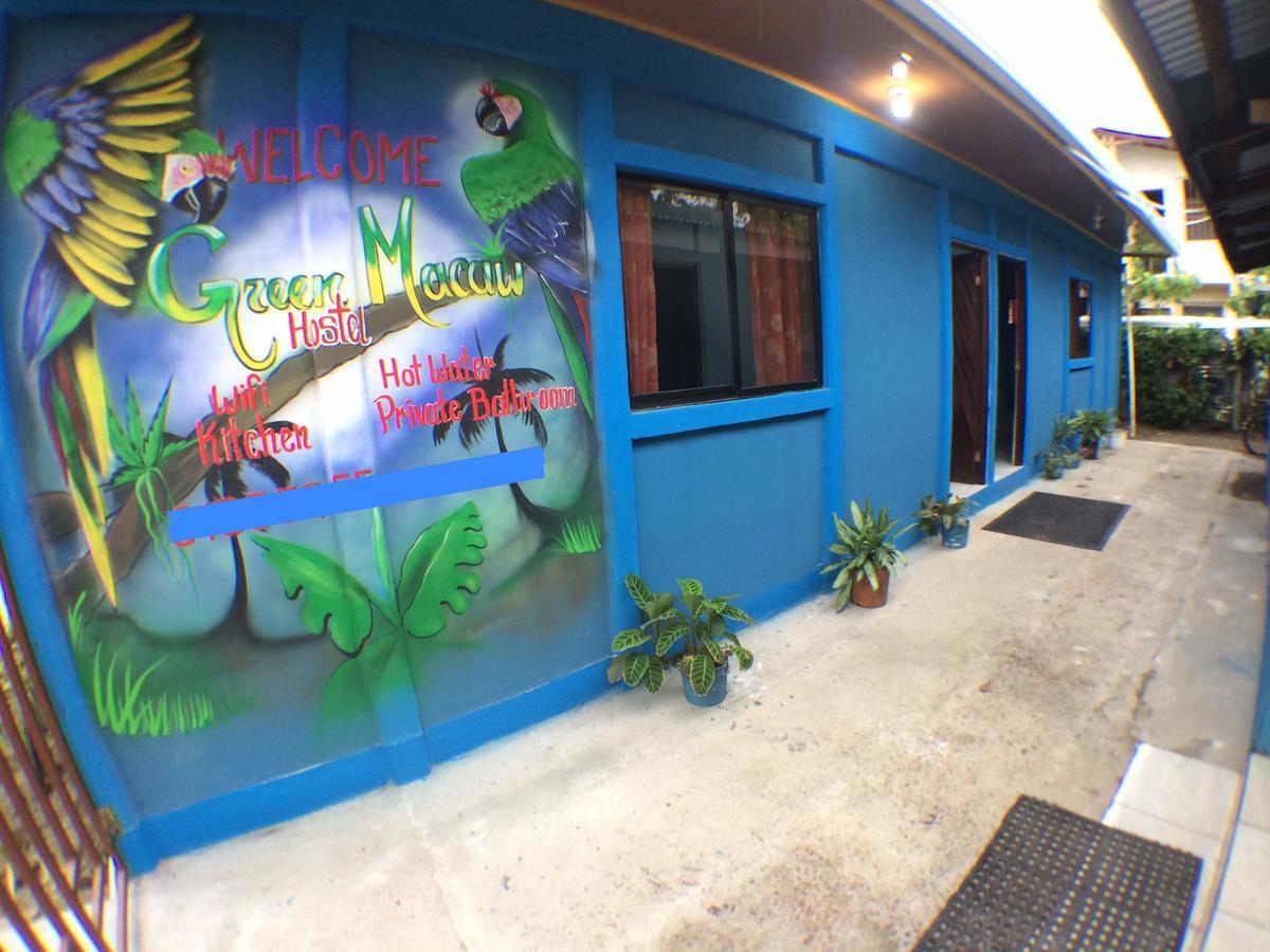 Green Macaw Hostel ตอร์ตูเกโร ภายนอก รูปภาพ