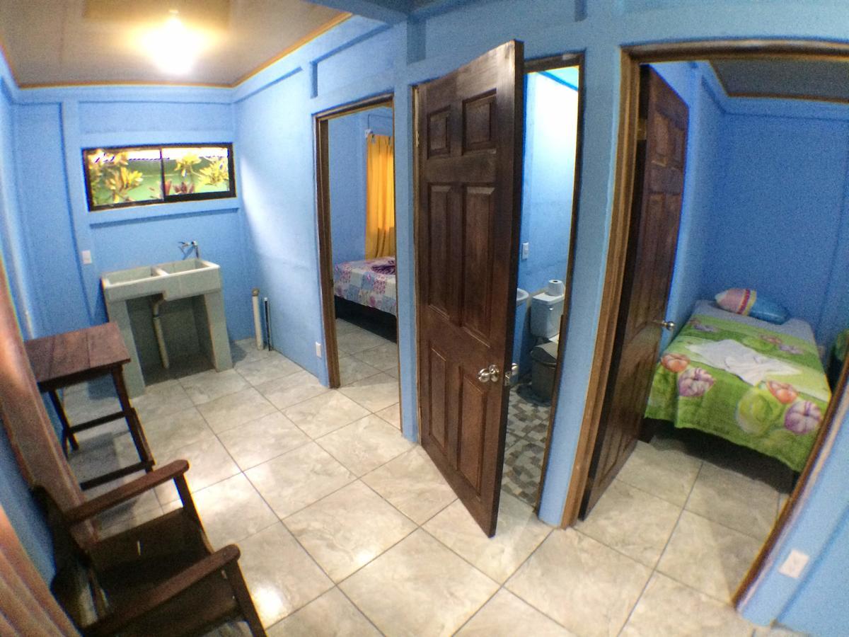 Green Macaw Hostel ตอร์ตูเกโร ภายนอก รูปภาพ