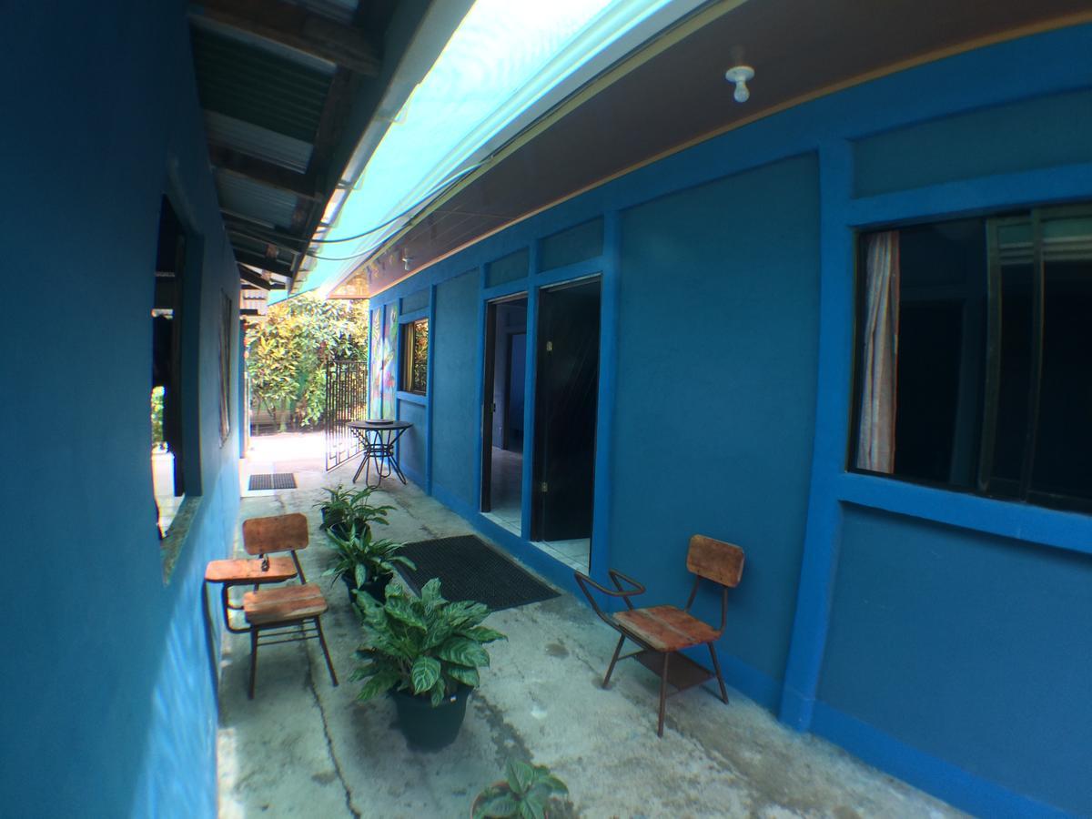 Green Macaw Hostel ตอร์ตูเกโร ภายนอก รูปภาพ