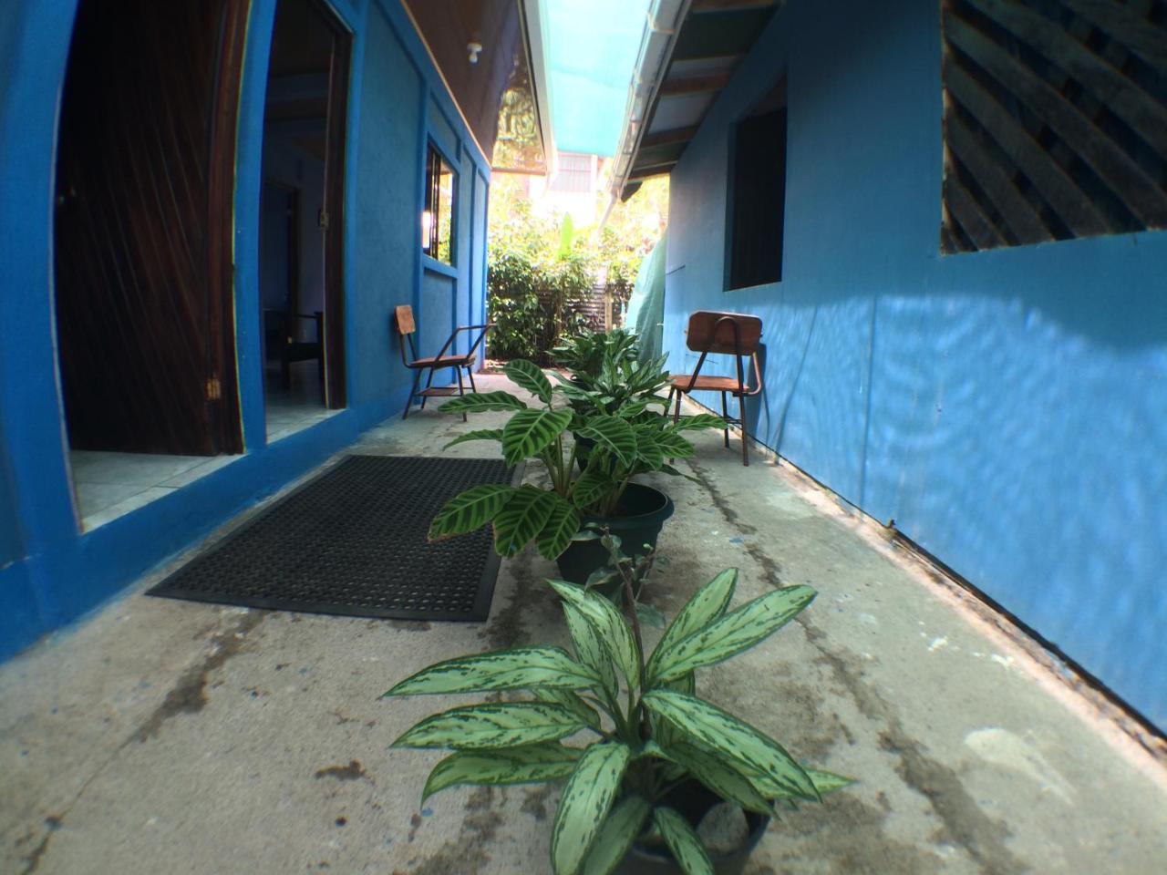 Green Macaw Hostel ตอร์ตูเกโร ภายนอก รูปภาพ