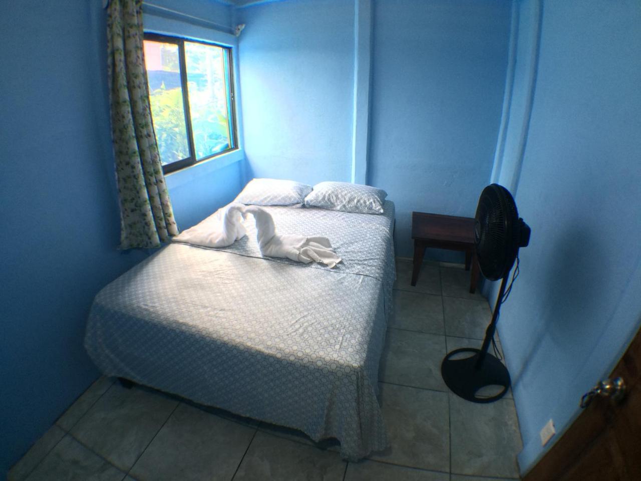 Green Macaw Hostel ตอร์ตูเกโร ภายนอก รูปภาพ