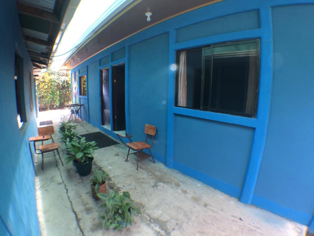 Green Macaw Hostel ตอร์ตูเกโร ภายนอก รูปภาพ